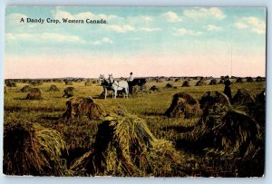 Western Canada Postcard A Dandy Crop Farming Horse Wagon c1930's Vintage