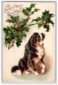 St. Joseph Missouri MO Postcard Christmas Greetings Collie Dog Berries 1909