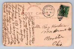OSTRICH FARM RACING OSTRICH JACKSONVILLE FLORIDA BLACK AMERICANA POSTCARD 1908