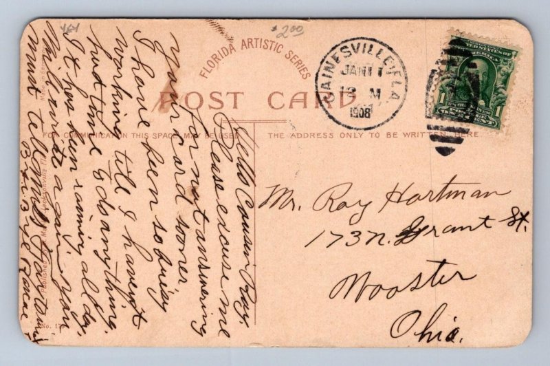 OSTRICH FARM RACING OSTRICH JACKSONVILLE FLORIDA BLACK AMERICANA POSTCARD 1908