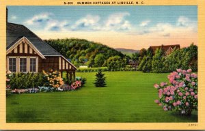 North Carolina Linville Typical Summer Cottages