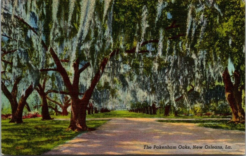 VTG 1930's The Pakenham Oaks Cathedral of New Orleans Louisiana LA Postcard