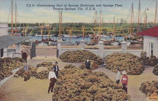 Florida Tarpon Springs Overlooking Part Of Sponge Exchange And Sponge Fleet