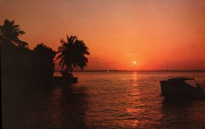 Florida Sunset  PC