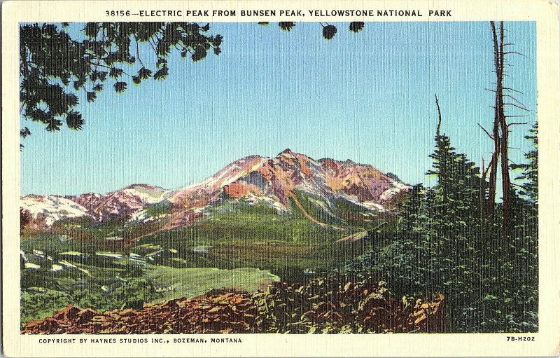Electric Peak From Bunsen Peak Yellowstone WY Vintage Standard View Postcard 