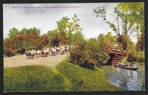 Sheep Pretty Lawn Mowers Washington Park Chicago Illinois Unused c1910s