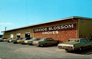 Florida Seminole (Largo) Orange Blossom Groves New Building