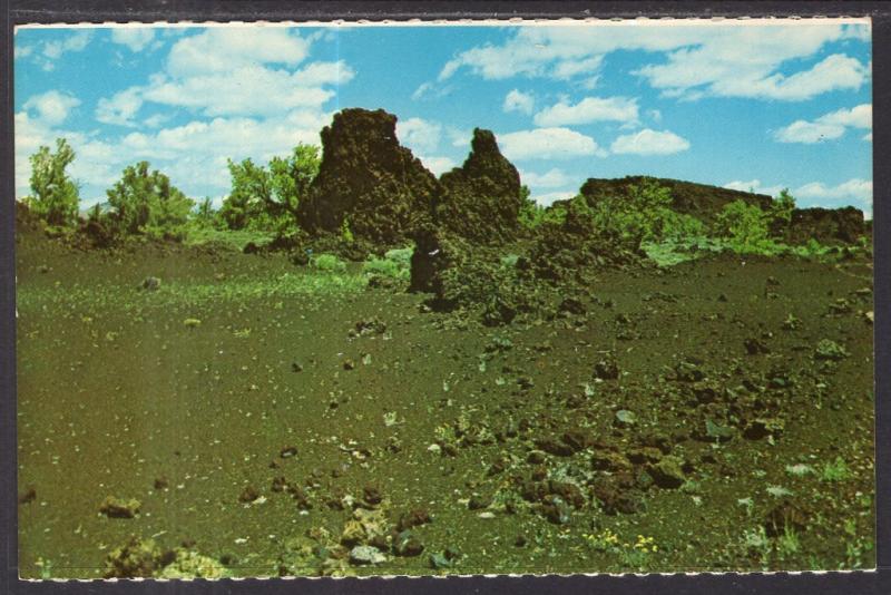 Devil's Iorchards,Craters of the Moon National Monument,ID BIN