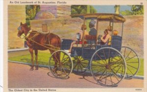 Florida St Augustine Horse and Buggy