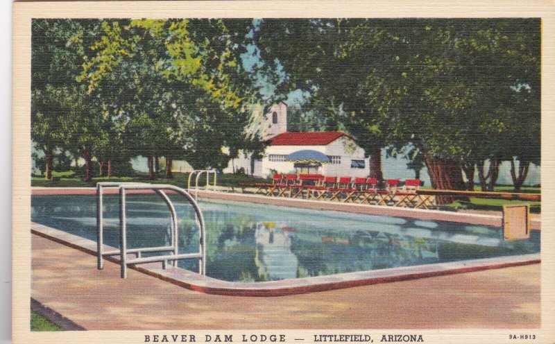 Arizona Littlefield Beaver Dam Lodge & Swimming Pool Curteich sk2850