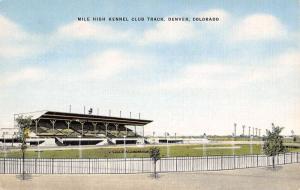 Denver Colorado Mile High Kennel Club Track Antique Postcard K49138
