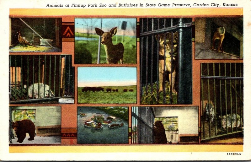 Kansas Garden City Animals At Finnup Park Zoo and Buffaloes In State Game Pre...