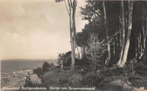 Lot 95 ostseebad heiligendamm partie am gespensterwald germany real photo