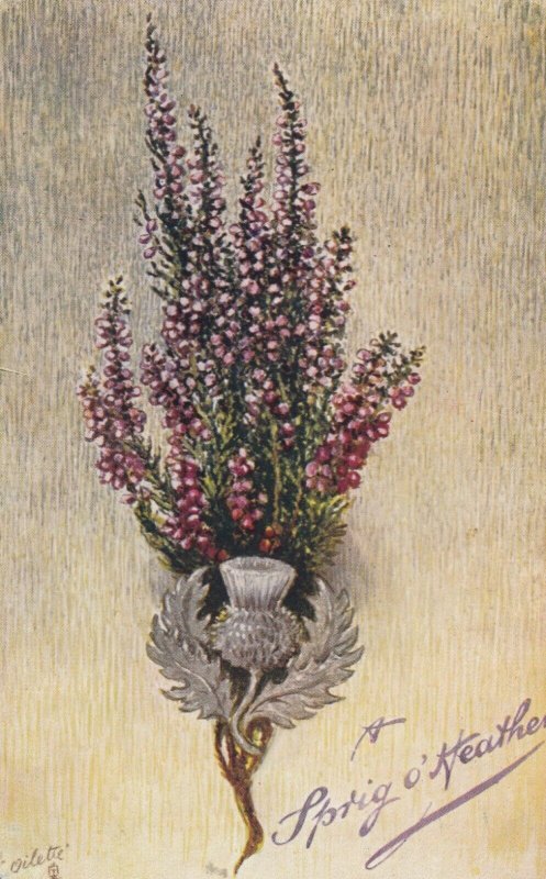 A Sprig Of Heather, 1900-10s; TUCK 9485; #4