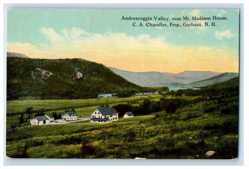 c1910's Androscoggin Valley Near Mt. Madison House Gorham NH Antique Postcard 