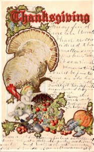 Thanksgiving Greeting With Turkey 1906