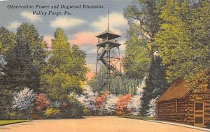 Observation Tower and Dogwood Blossoms Valley Forge, Pennsylvania PA  