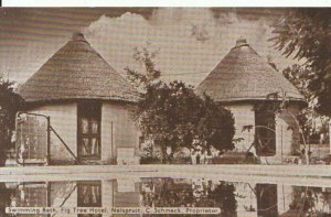 South Africa Postcard - Swimming Bath - Fig Tree Hotel - Nelspruit - Ref 18602A