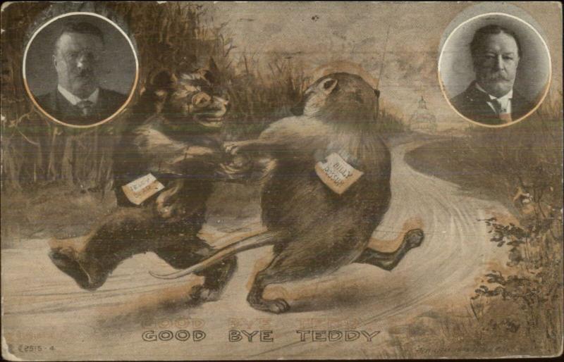 Teddy Bear Teddy Roosevelt & Possum William Taft 1909 Used Postcard