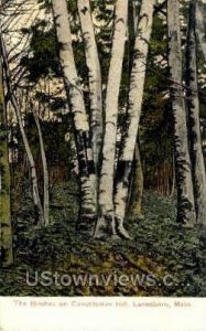 The Birches, Constitution Hill - Lanesboro, Massachusetts MA  