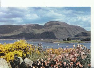Scotland Postcard - Ben Nevis From Garden in Corpach, Inverness-shire Ref 17213A