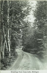 RPPC Carp Lake, Michigan Vintage Postcard P45