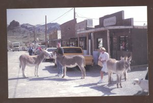 OATMAN ARIZONA ROUTE 66 DOWNTOWN DONKEYS POSTCARD