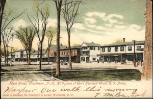 Winchester New Hampshire NH Private Mailing Card c1905 Vintage Postcard