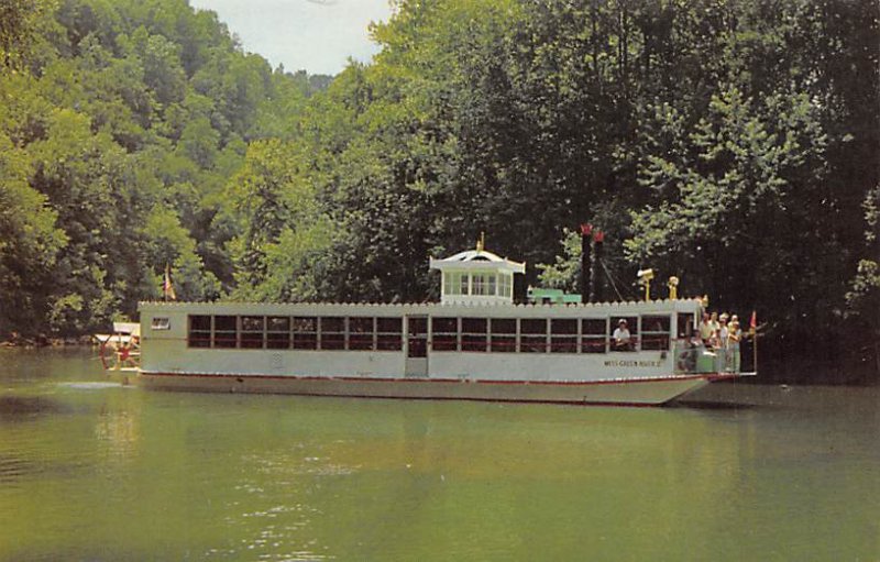 Unidentified River Steamship River Boats Ship 