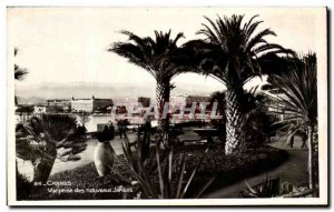 Old Postcard Cannes View taken from New Gardens