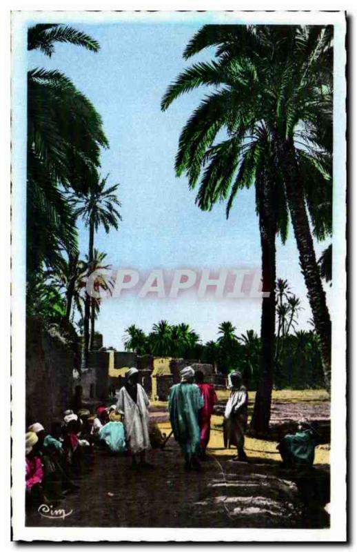 Old Postcard Algeria Biskra ART COLLECTION