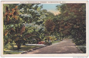 Typical Residential Street , JACKSONVILLE , Florida , 1910s