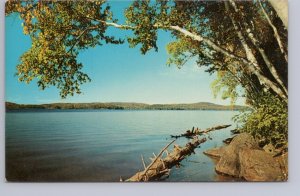 Lake Scene, Canada, Vintage Chrome Postcard