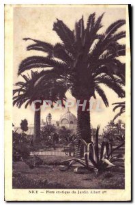 Postcard Old Nice Flore exotic Jardin Albert