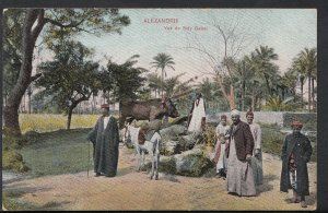 Egypt Postcard - Alexandrie - Vue De Sidy Gaber  BH3542