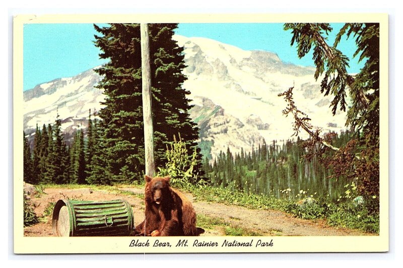 Black Bear Mt. Rainier National Park Washington Postcard