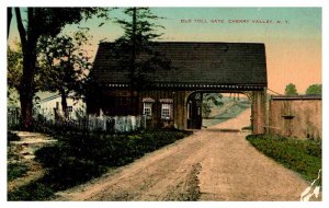 Postcard BUILDING SCENE Cherry Valley New York NY AQ8419