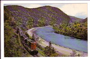 Canadian National Train Newfie Bullet, Humber River Valley, Newfoundland,