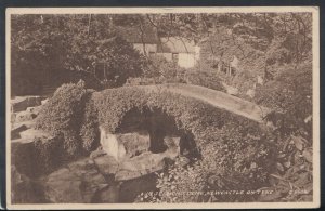 Northumberland Postcard - In Jesmond Dene, Newcastle On Tyne  RS14776