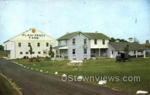 Plain & Fancy Farm - Bird-in-Hand, Pennsylvania PA Postcard