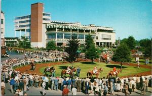 Monmouth Park Oceanport NJ New Jersey Horse Racing Track Unused Postcard F1