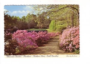Clarendon Gardens, Pinehurst, Southern Pines, North Carolina