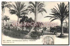 Old Postcard NICE New Palm Gardens