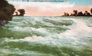Vintage Postcard Canadian Rapids Above Falls Leaving Lake Erie Niagara Canada