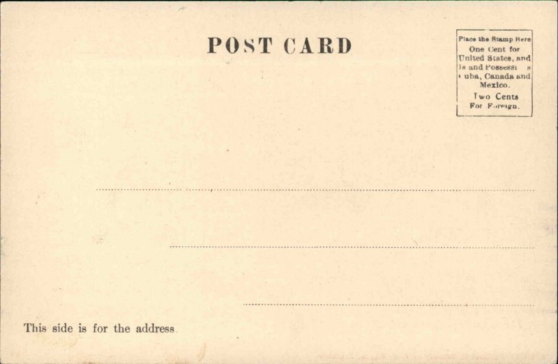 Townsend Massachusetts MA The Common c1910 Vintage Postcard