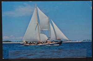 Schooner Hindu, McMillian Wharf, Provincetown, Cape Cod, MA