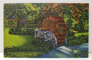 Castalia Ohio The Aerating Water Wheel at The Blue Hole Postcard C16