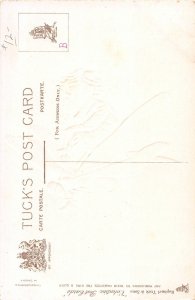 H77/ Valentine's Day Holiday Postcard c1910 Fantasy Insect Dragonfly51