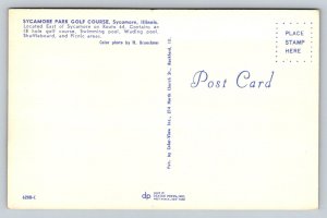 Sycamore Park Golf Course  Illinois  Golfers Postcard