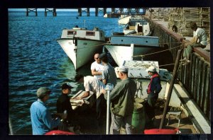 PEI Prince Edward Island COVEHEAD HARBOUR Deep-sea Fishing Boats ~ Chrome